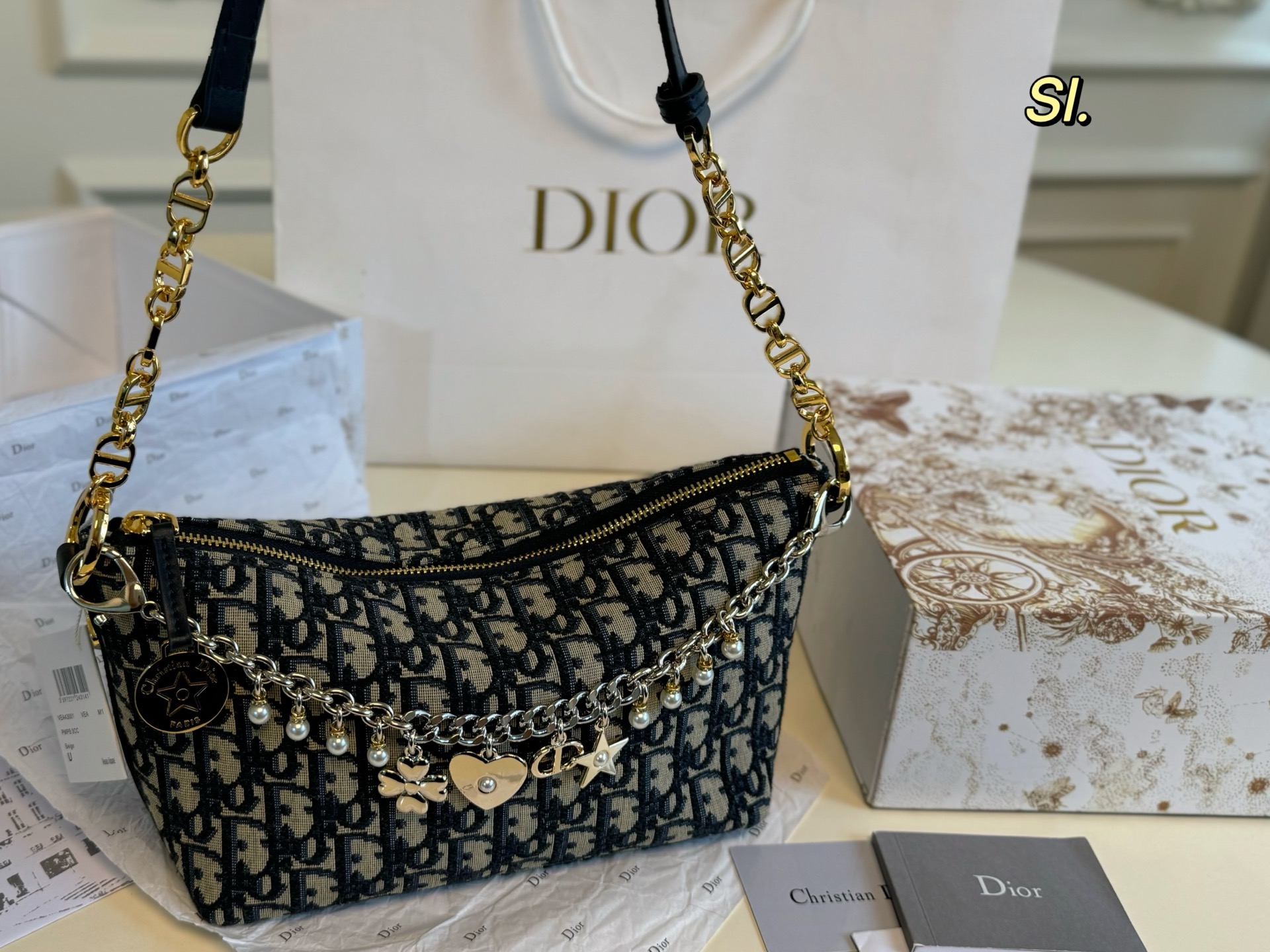 DIOR bag 112